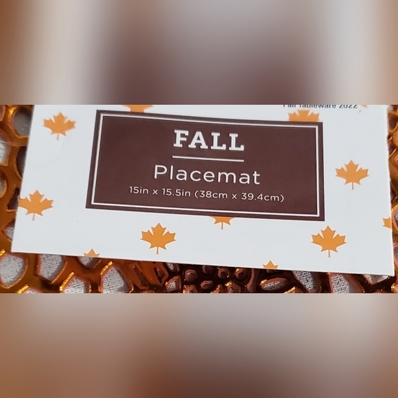 NEW set of 4 Orange Pumpkin Placemats - Picture 3 of 3